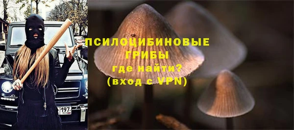 винт Кинешма