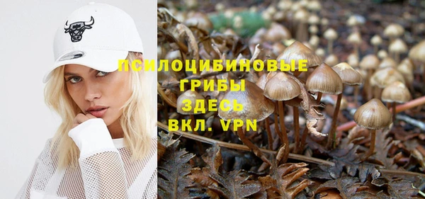 хмурый Козельск